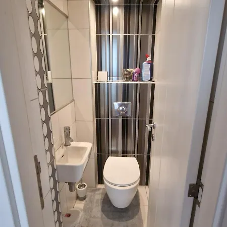 Проживание в семье Sava Centar *